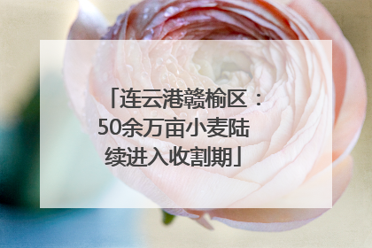 连云港赣榆区：50余万亩小麦陆续进入收割期