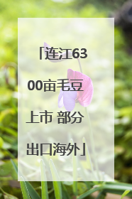 连江6300亩毛豆上市 部分出口海外
