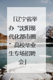 辽宁省举办“沈阳现代化都市圈”高校毕业生专场招聘会