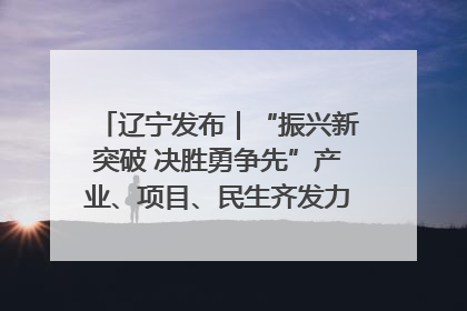 辽宁发布｜“振兴新突破 决胜勇争先”产业、项目、民生齐发力 葫芦岛按下决胜之年“加速键”