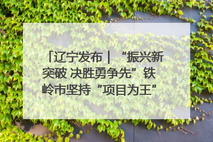 辽宁发布｜“振兴新突破 决胜勇争先”铁岭市坚持“项目为王”推进经济高质量发展