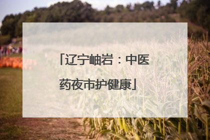 辽宁岫岩：中医药夜市护健康