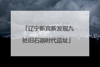 辽宁新宾新发现九处旧石器时代遗址