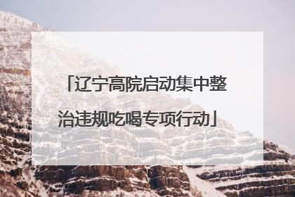 辽宁高院启动集中整治违规吃喝专项行动
