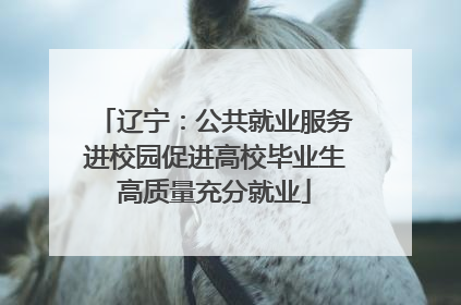 辽宁：公共就业服务进校园促进高校毕业生高质量充分就业