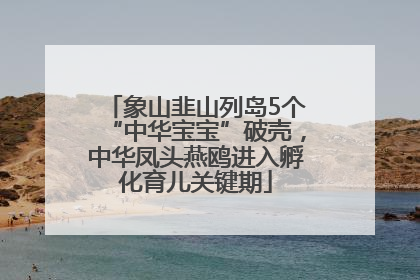 象山韭山列岛5个“中华宝宝”破壳，中华凤头燕鸥进入孵化育儿关键期
