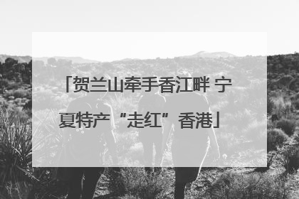 贺兰山牵手香江畔 宁夏特产“走红”香港