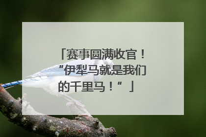 赛事圆满收官！“伊犁马就是我们的千里马！”