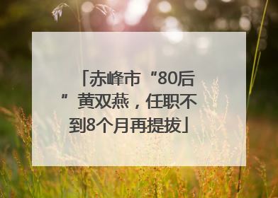 赤峰市“80后”黄双燕，任职不到8个月再提拔