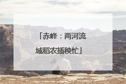 赤峰：两河流域稻农插秧忙