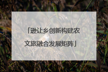 逊让乡创新构建农文旅融合发展矩阵