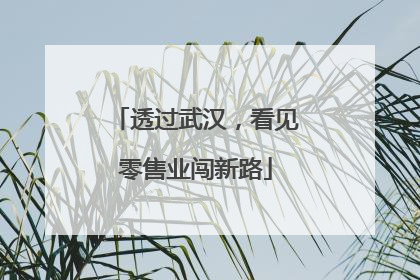 透过武汉，看见零售业闯新路