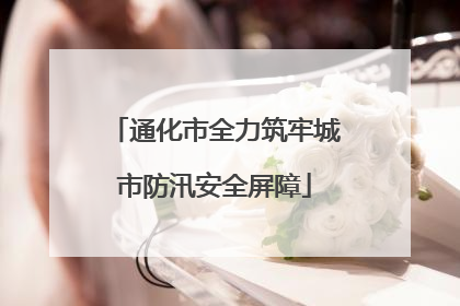 通化市全力筑牢城市防汛安全屏障