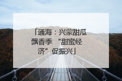 通海：兴蒙甜瓜飘香季 “甜蜜经济”促振兴