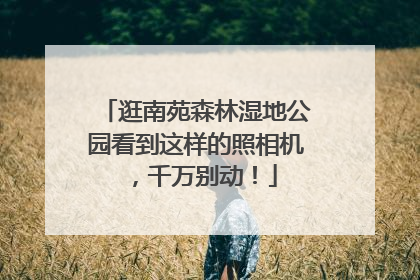 逛南苑森林湿地公园看到这样的照相机，千万别动！
