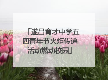 遂昌育才中学五四青年节火炬传递活动燃动校园