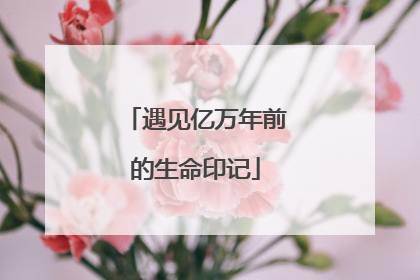 遇见亿万年前的生命印记