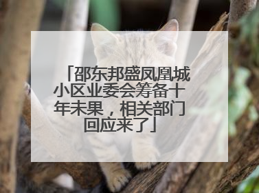 邵东邦盛凤凰城小区业委会筹备十年未果，相关部门回应来了
