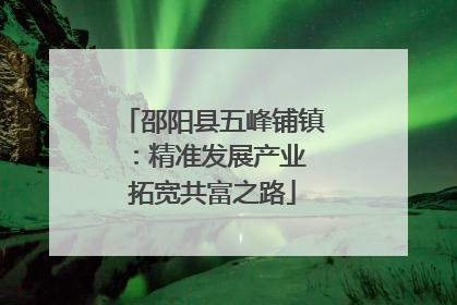 邵阳县五峰铺镇：精准发展产业 拓宽共富之路