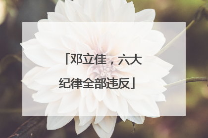 邓立佳，六大纪律全部违反