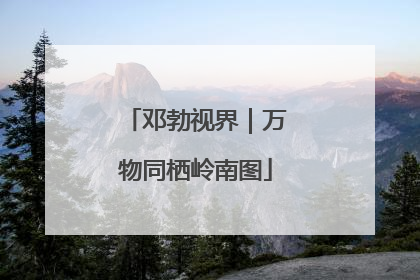 邓勃视界｜万物同栖岭南图