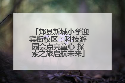 郏县新城小学迎宾街校区：科技游园会点亮童心 探索之旅启航未来