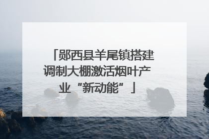 郧西县羊尾镇搭建调制大棚激活烟叶产业“新动能”