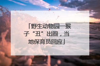野生动物园一猴子“丑”出圈，当地保育员回应