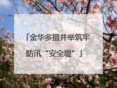 金华多措并举筑牢防汛“安全堤”