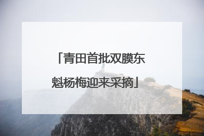 青田首批双膜东魁杨梅迎来采摘