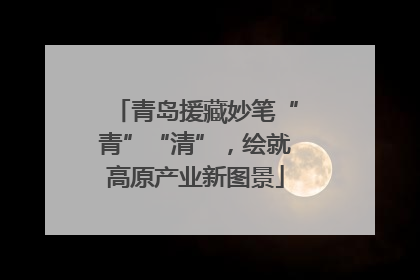 青岛援藏妙笔“青”“清”，绘就高原产业新图景