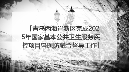 青岛西海岸新区完成2025年国家基本公共卫生服务疾控项目暨医防融合督导工作