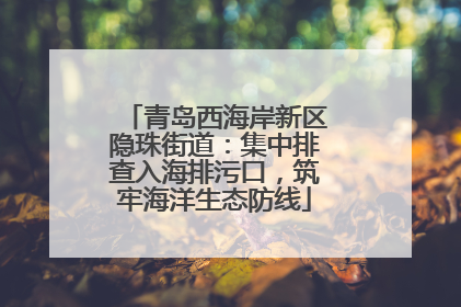 青岛西海岸新区隐珠街道：集中排查入海排污口，筑牢海洋生态防线