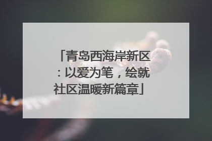 青岛西海岸新区：以爱为笔，绘就社区温暖新篇章