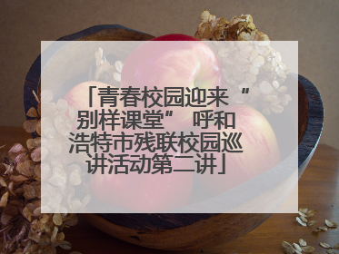 青春校园迎来“别样课堂” 呼和浩特市残联校园巡讲活动第二讲