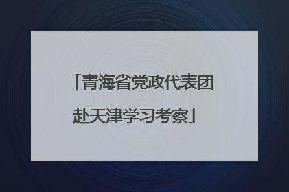 青海省党政代表团赴天津学习考察