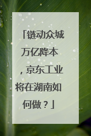 链动众城 万亿降本，京东工业将在湖南如何做？
