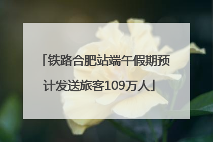 铁路合肥站端午假期预计发送旅客109万人