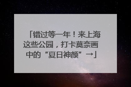 错过等一年！来上海这些公园，打卡莫奈画中的“夏日神颜”→