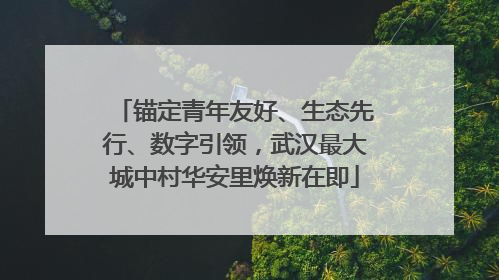 锚定青年友好、生态先行、数字引领，武汉最大城中村华安里焕新在即