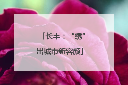 长丰：“绣”出城市新容颜