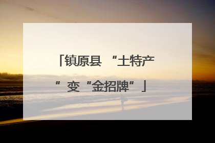 镇原县 “土特产”变“金招牌”