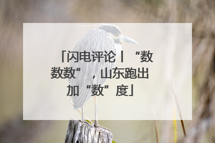 闪电评论丨“数数数”，山东跑出加“数”度