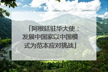 阿根廷驻华大使：发展中国家以中国模式为范本应对挑战