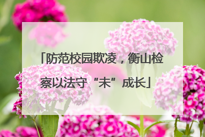 防范校园欺凌，衡山检察以法守“未”成长