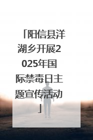 阳信县洋湖乡开展2025年国际禁毒日主题宣传活动