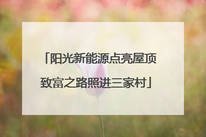 阳光新能源点亮屋顶 致富之路照进三家村