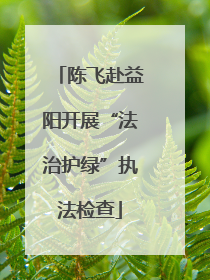 陈飞赴益阳开展“法治护绿”执法检查