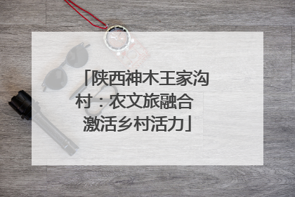 陕西神木王家沟村：农文旅融合 激活乡村活力