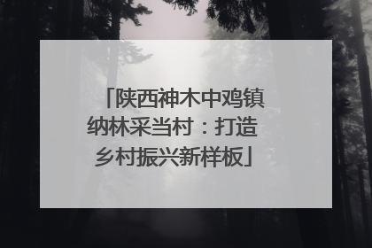 陕西神木中鸡镇纳林采当村：打造乡村振兴新样板